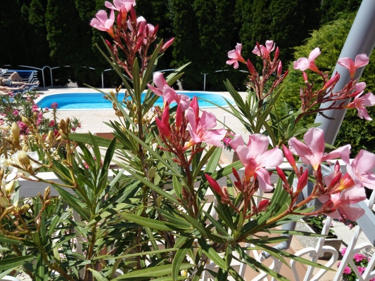 NAPOZÓ TERASZ - SUN TERACE - SONNENTERRASSE